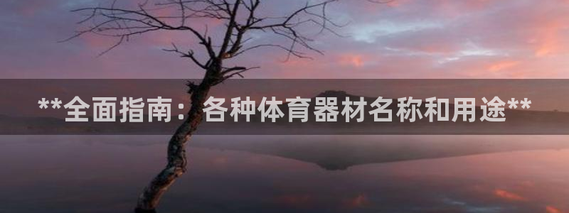 极悦平台官方网站登录：**全面指南：各种体育器材名称