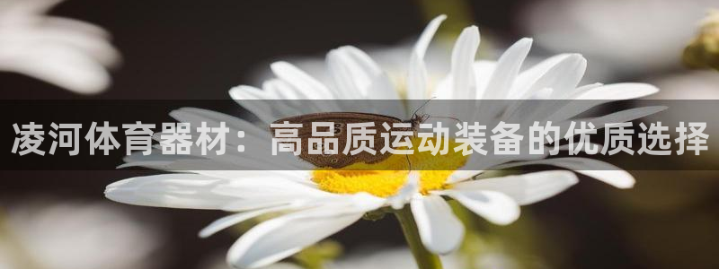 极悦娱乐官网APP下载：凌河体育器材：高品质运动装备