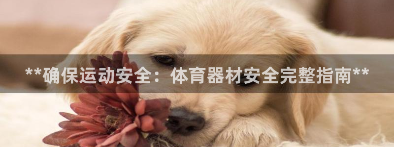 极悦平台登录方式怎么改：**确保运动安全：体育器材安全完整指
