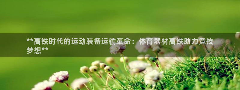 极悦平台官网登录不了怎么办：**高铁时代的运动装备运