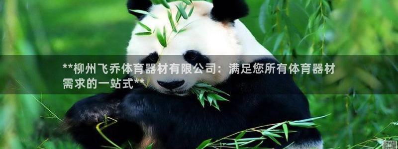 极悦官网旗舰店：**柳州飞乔体育器材有限公司：满足您所有体育