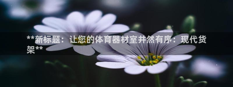 极悦娱乐负责人电话：**新标题：让您的体育器材室井然