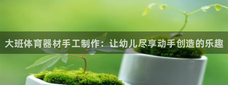 极悦官方网站app下载：大班体育器材手工制作：让幼儿