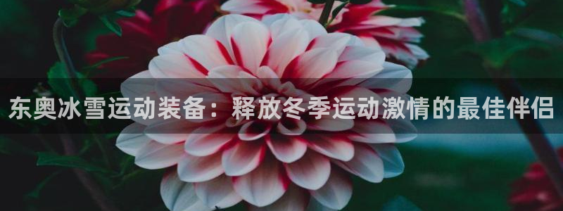 极悦娱乐成7O777：东奥冰雪运动装备：释放冬季运动激情的最