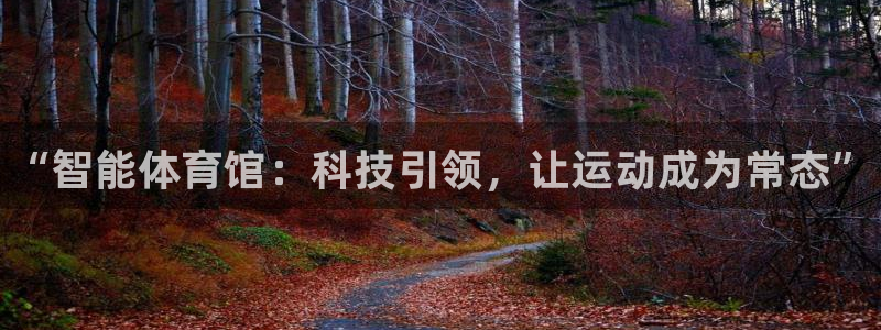 极悦平台使用教程