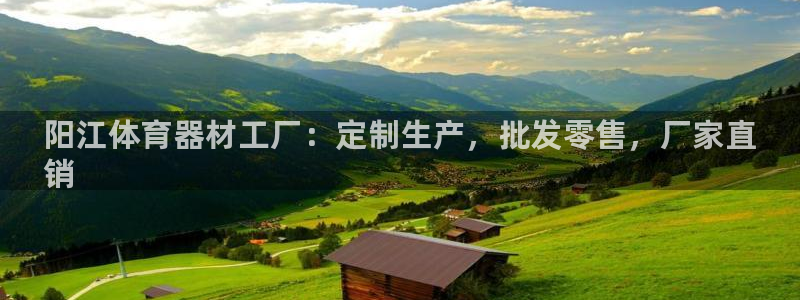 极悦娱乐代理怎么样啊：阳江体育器材工厂：定制生产，批