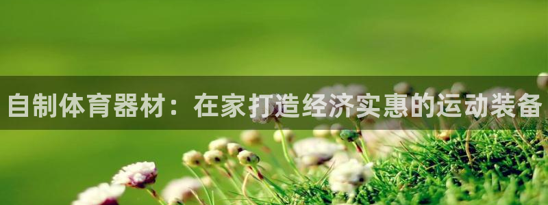 极悦平台集7O777:自制体育器材:在家打造经济实惠的运动装