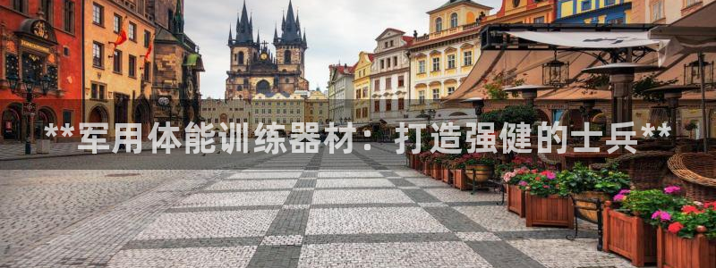 极悦娱乐股东名单:**军用体能训练器材:打造强健的士兵**