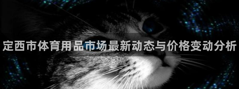 极悦平台注册申请流程详解图：定西市体育用品市场最新动