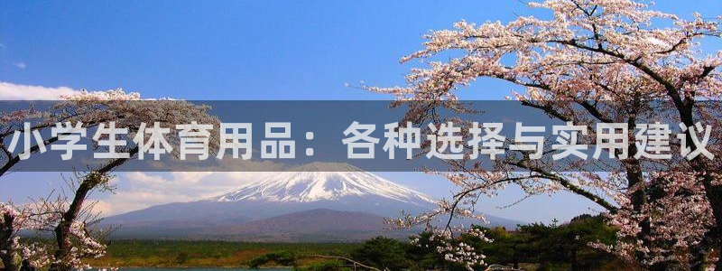 极悦平台注册用户名验证失败:小学生体育用品:各种选择与实用建