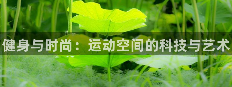极悦娱乐贴吧官网：健身与时尚：运动空间的科技与艺术