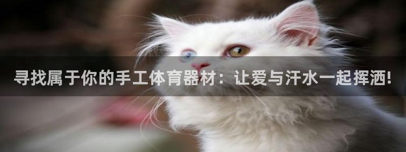 极悦平台平台注册方法与步骤：寻找属于你的手工体育器材