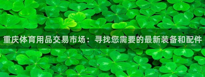 极悦平台是什么公司：重庆体育用品交易市场：寻找您需要